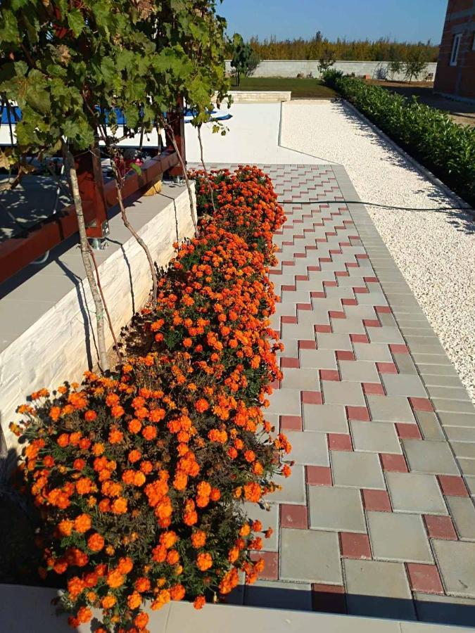 Villa Verbena Mala Cista Pokoj fotografie