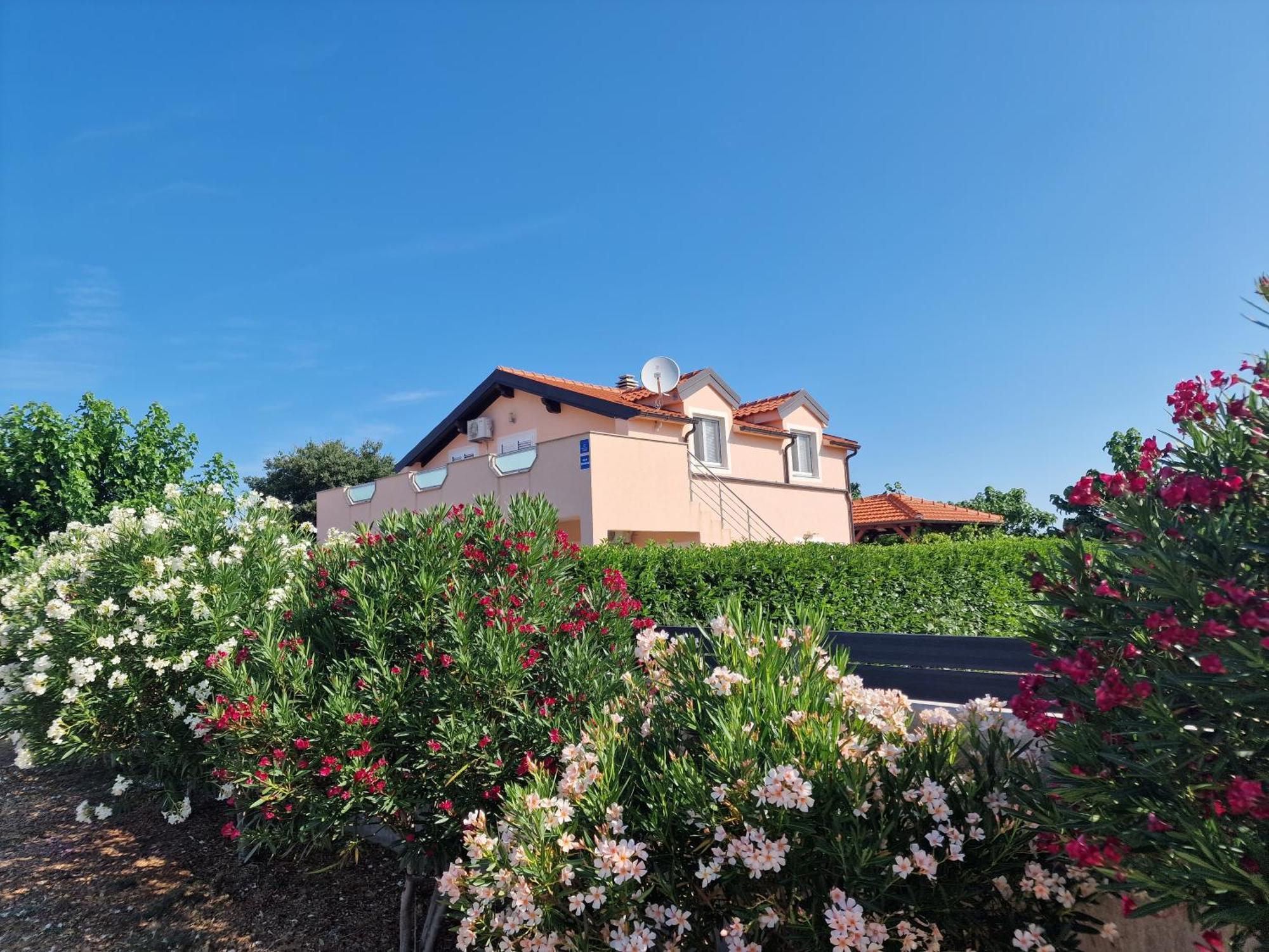 Villa Verbena Mala Cista Exteriér fotografie